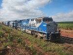 RUMO 9877